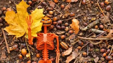 Balkabağı iskeleti, düşen meşe palamudu ve sarı akçaağaç yaprakları. Cadılar bayramın kutlu olsun. 4k görüntü