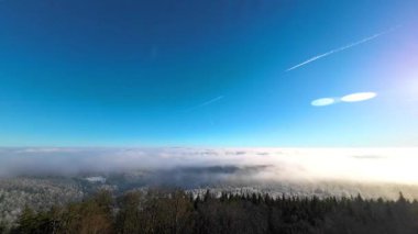 Sisin içindeki ağaçların tepeleri bulutların altında, parlak mavi gökyüzünün altında. Çam ormanının üzerinden güneş ışınlarıyla bak..