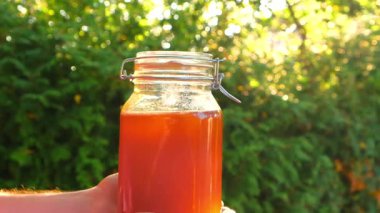 Yazın güneşli bahçede bir kavanoz bal. Doğal sağlıklı şifa tatlısı.. 