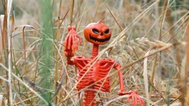 Cadılar bayramı portakallı iskelet heykelciği mısır gevreği çiçeklerinden bir yatakta dinleniyor. Sonbahar tatilleri için ürkütücü bir dekor. 4k görüntü