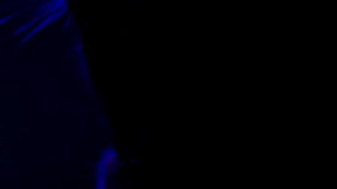 Karanlıktaki kara kedinin yeşil gözleri. Siyah arka planda kedi suratı var. 4k görüntü