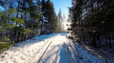 Mavi gökyüzünün altındaki kış ormanlarında karlı bir yol. Kış buzlu orman manzarası. 4k görüntü