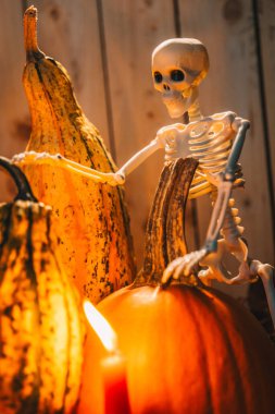 Balkabağı ve Mum ile İskelet Figürü. Büyülü Ekim atmosferi. İskelet tatil geçmişi..