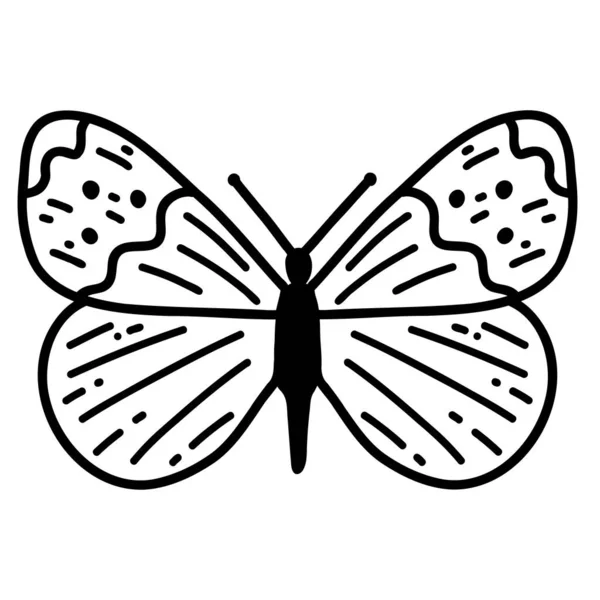 Ręcznie Rysowany Motyl Bazgroły Ilustracja Szkic Wektor Czarny Zarys Sztuki — Wektor stockowy
