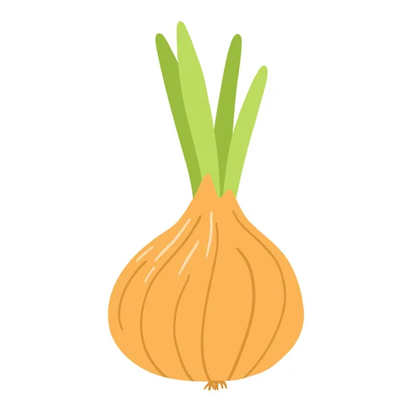 Oignon Style Plat Dessin Animé Illustration Vectorielle Dessinée Main Légumes — Image vectorielle