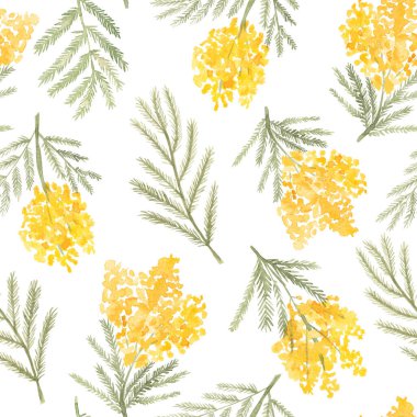 Beyaz arka planda elle çizilmiş suluboya mimoza ile kusursuz desen. Tekstil, baskı ve ambalaj kağıtları için bahar botanik duvar kağıdı.