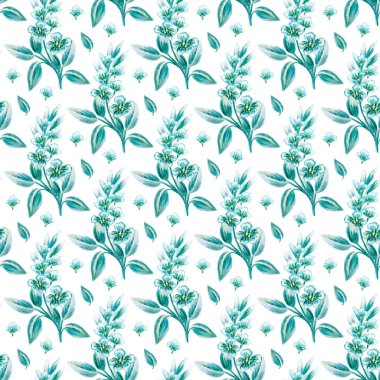 Turkuaz ve beyaz çiçek deseni. Beyaz arka planda elle çizilmiş suluboya. Güzel, parlak bir doku. Kumaş, tekstil, hediye ambalajı, baskı malzemesi, iç mekan, reklam için harika..