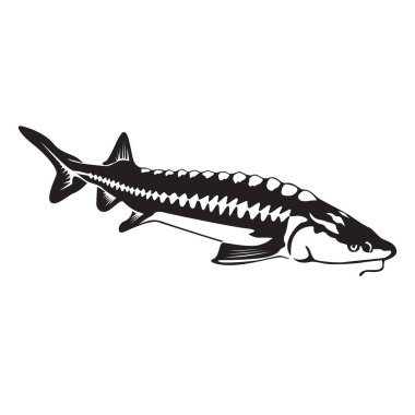 Siyah beyaz balıkçılar balık silueti 