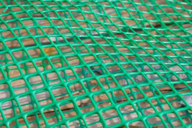 Plastik çit arka plan, yeşil çit yakın plan ve doku