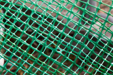 Plastik çit arka plan, yeşil çit yakın plan ve doku