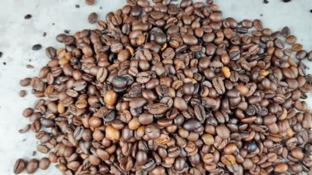 咖啡豆特写 咖啡豆种子质感 — 图库视频影像