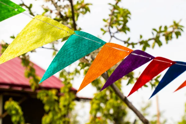 Party flags in yard, colorful flags