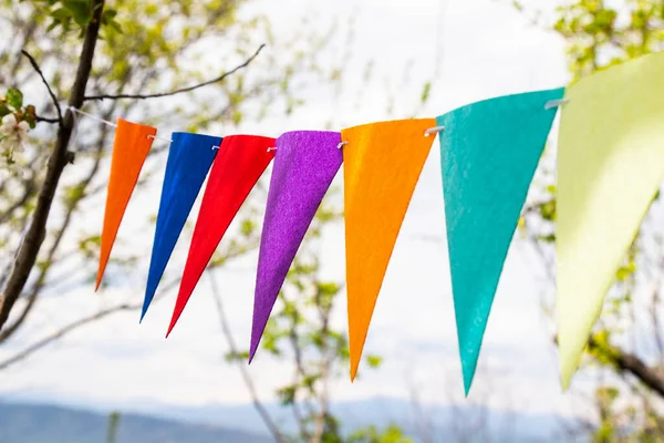 Party flags in yard, colorful flags