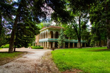 Park and garden in Tsinandali, Georgia.
