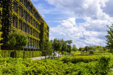 Georgia 'daki otelde yeşil duvar.