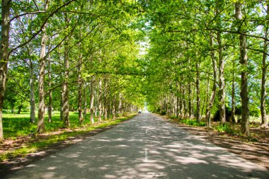 Gürcistan, Kakheti 'de yol ve otoyol ve iki nokta üst üste.