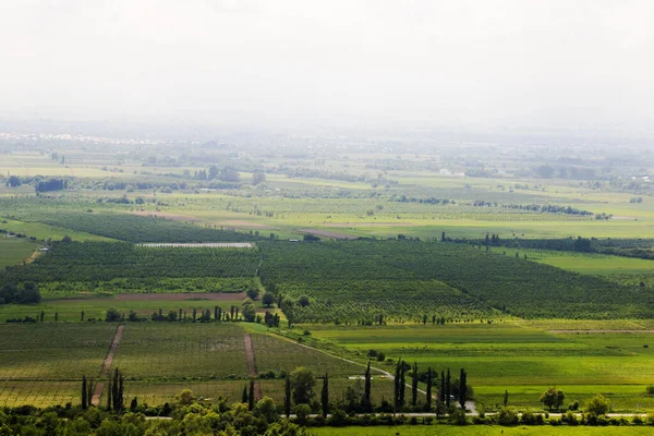Alazani Valley Landscape View Kakheti Georgia — Stock Photo, Image