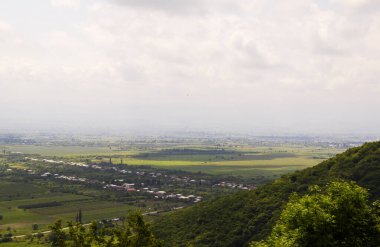 Gürcistan 'ın Kakheti kentindeki Alazani vadisi manzarası ve manzarası