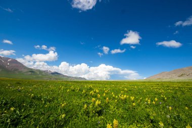 Gürcistan 'daki Javakheti dağlarının manzarası, Abuli dağları