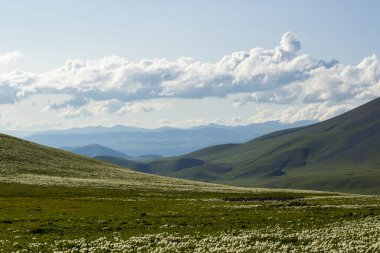 Abuli Dağı 'ndaki dağ manzarası, Goergia