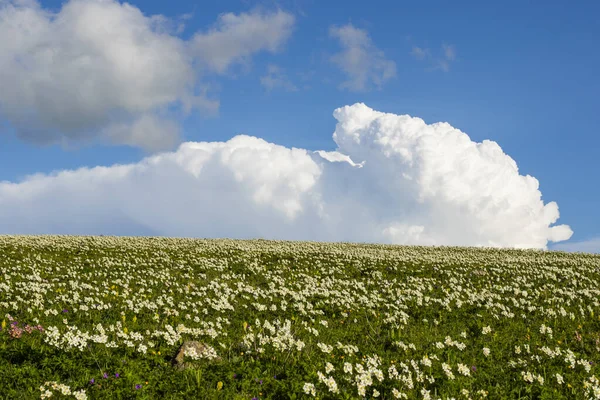 Abuli Dağı Ndaki Dağ Manzarası Goergia — Stok fotoğraf