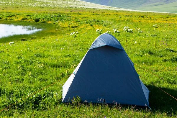 フィールド 登山やキャンプで青のテント — ストック写真