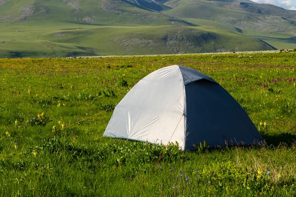 フィールド 登山やキャンプで青のテント — ストック写真