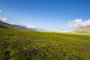 Abuli Dağı 'ndaki dağ manzarası, Goergia