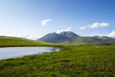Abuli Dağı 'ndaki dağ manzarası, Goergia