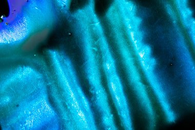 Beyaz arka planda mavi renkli mürekkep boyası