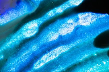 Beyaz arka planda mavi renkli mürekkep boyası