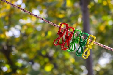 Bahçedeki renkli mandallar