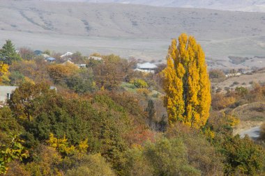 Gürcistan 'da sonbahar ve sonbahar manzarası