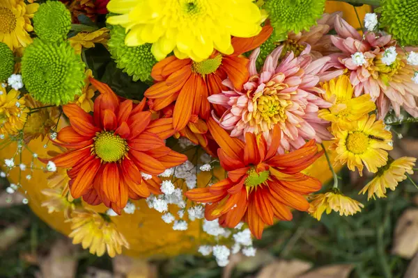 Sonbahar çiçekleri parti süslemeleri için kötüdür