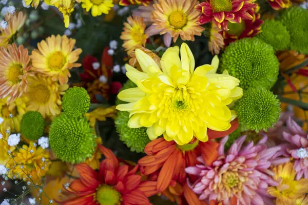 Sonbahar çiçekleri parti süslemeleri için kötüdür