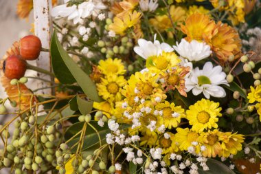 Sonbahar çiçekleri parti ve düğün süslemeleri için.