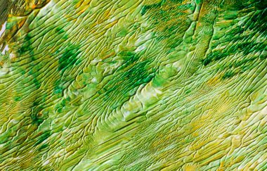 yeşil ve sarı renkler, soyut ve modern resim