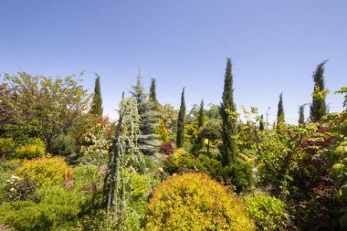 Bahçede bahçeler, farklı bitkiler