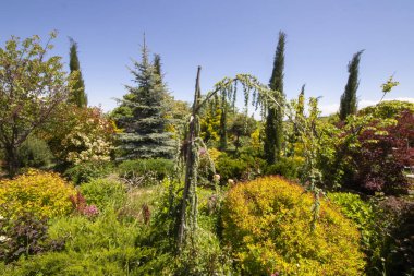 Bahçede bahçeler, farklı bitkiler