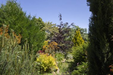 Bahçede bahçeler, farklı bitkiler