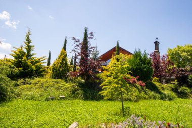 Bahçede bahçeler, farklı bitkiler