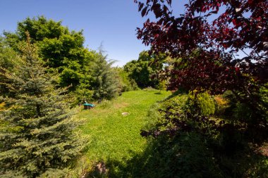 Bahçede bahçeler, farklı bitkiler