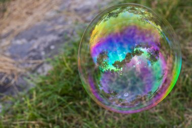 Bahçede sabun köpükleri, renkli kabarcıklar