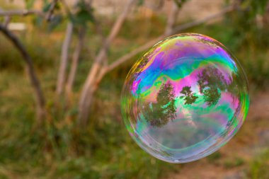 Bahçede sabun köpükleri, renkli kabarcıklar