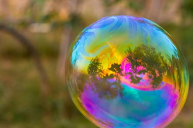 Bahçede sabun köpükleri, renkli kabarcıklar