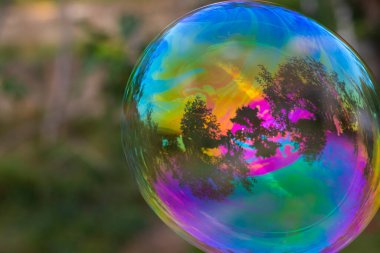 Bahçede sabun köpükleri, renkli kabarcıklar