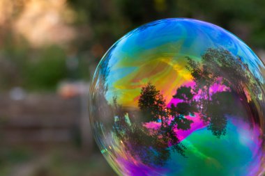 Bahçede sabun köpükleri, renkli kabarcıklar