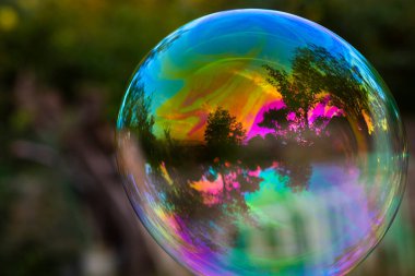 Bahçede sabun köpükleri, renkli kabarcıklar