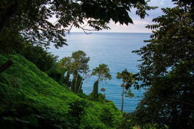 Karadeniz, Tsikhisdziri deniz manzarası ve Gürcistan manzarası