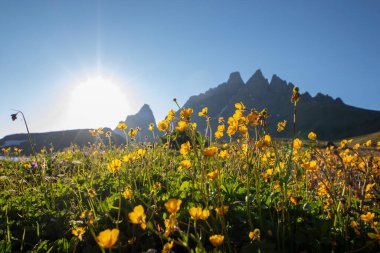 Samegrelo, Georgia 'daki dağ manzarası